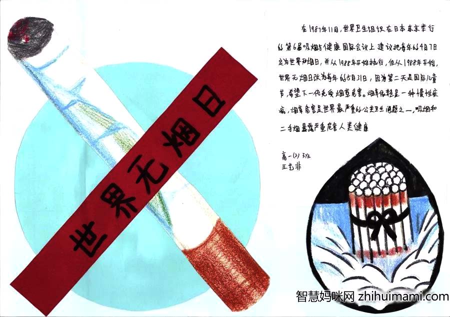 “拒绝烟草”——世界无烟日主题手抄报（7张）-图6
