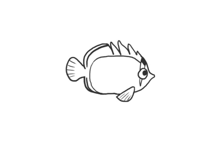海里的鱼蝴蝶鱼简笔画画法步骤-图4