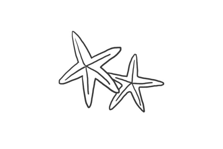 海洋生物海星简笔画画法步骤-图7