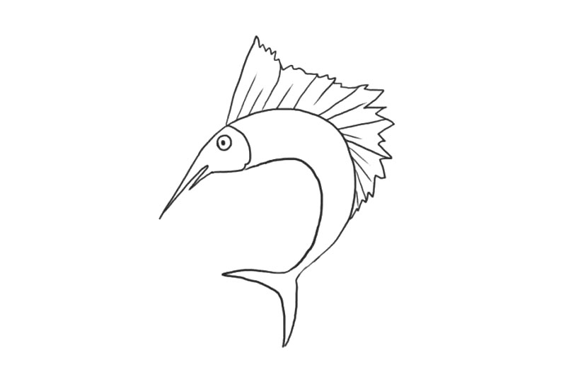 海洋生物剑鱼简笔画画法步骤-图4