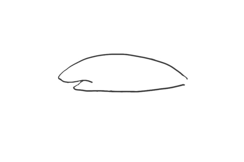 海洋生物鲨鱼简笔画画法步骤-图1