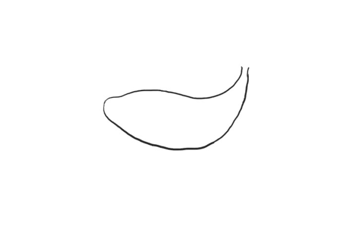 海洋生物鲸鱼简笔画画法步骤-图2