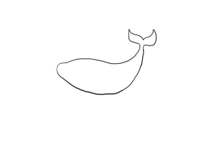 海洋生物鲸鱼简笔画画法步骤-图3