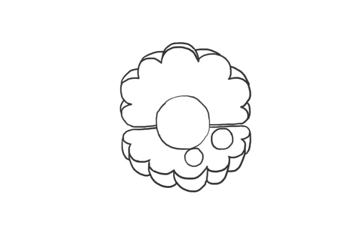 漂亮的贝壳简笔画画法步骤-图6