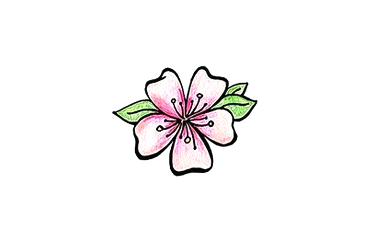 简单五步画漂亮的樱花