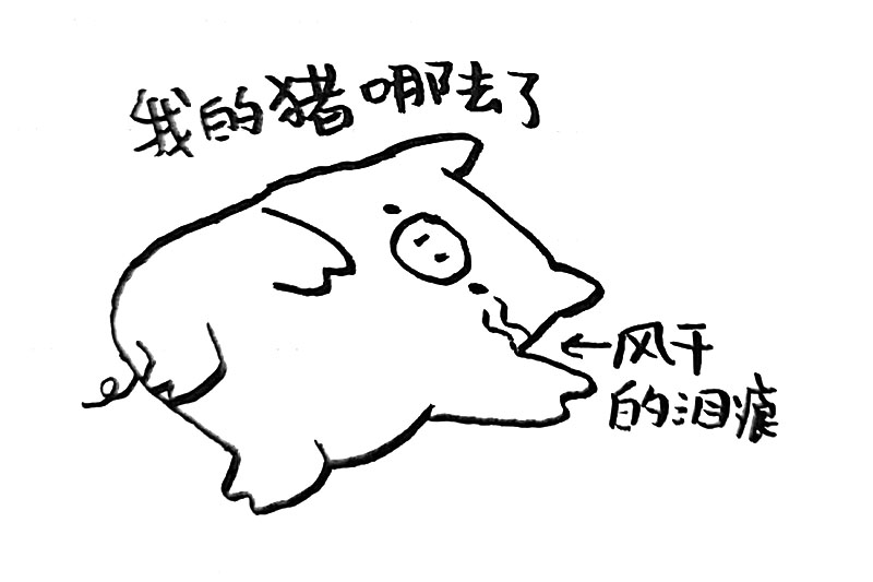 可爱的猪猪表情简笔画-图16