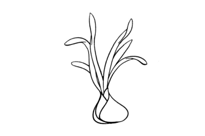 步骤2：在空隙处补充细长的叶子。