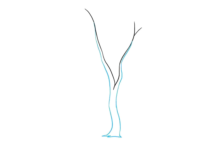 步骤2：画出树干，要有些弧度会更美。