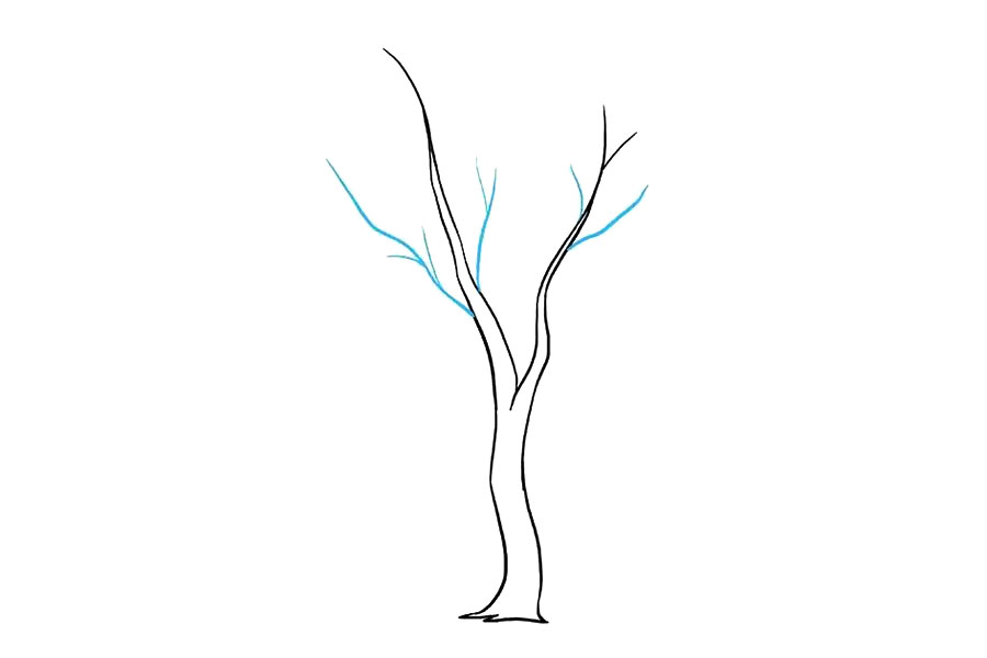 步骤3：继续画出小一些的树枝。