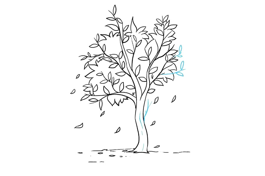 步骤8：丰富树冠的枝叶。