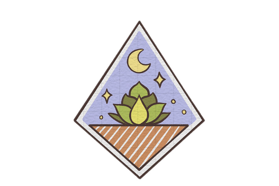 小盆栽微景观简笔画图片-图4