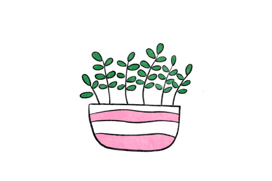 清新小盆栽简笔画图片-图5