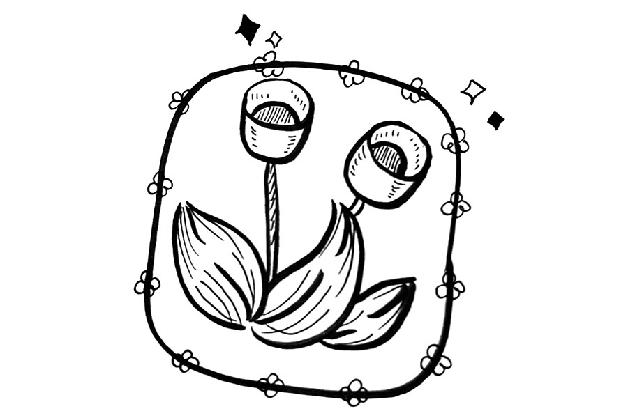 9张春天花朵简笔画 郁金香的春天-图3