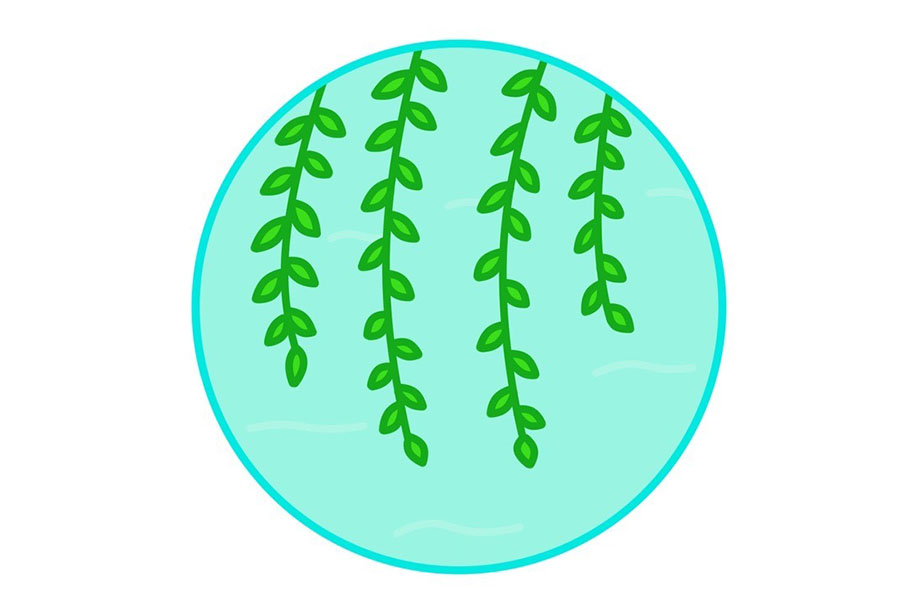 9张漂亮的春天简笔画图片 春天的气息-图3