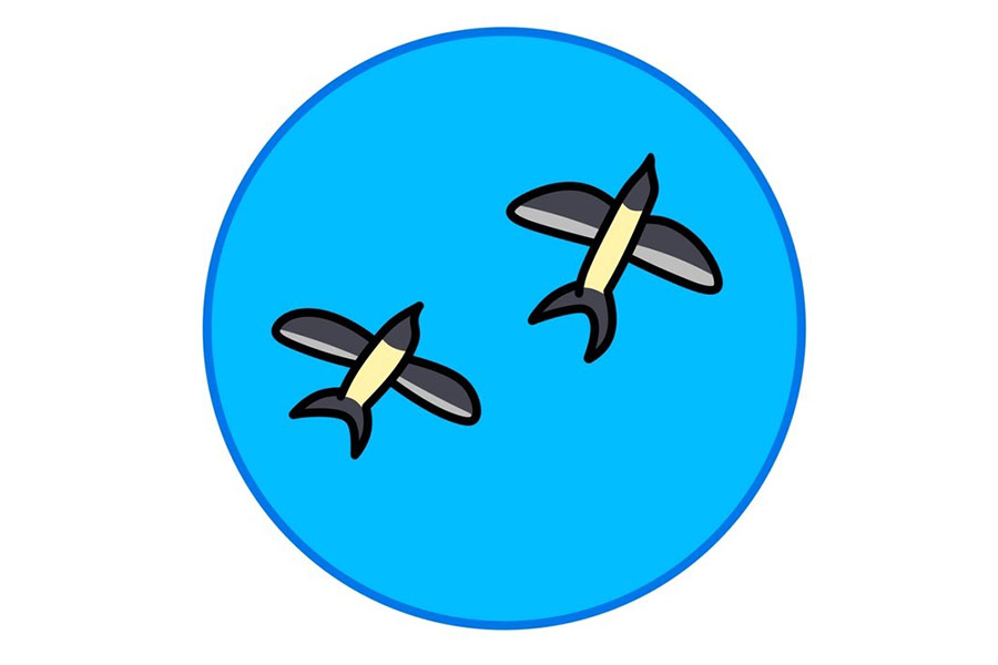 9张漂亮的春天简笔画图片 春天的气息-图6