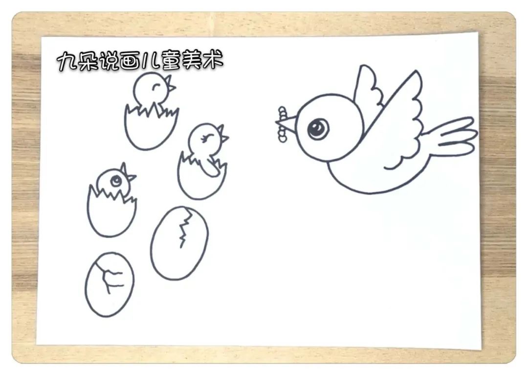 步骤1：白纸上画蛋壳中的小鸟宝宝和鸟妈妈。可以尝试直接勾线笔画哦！
