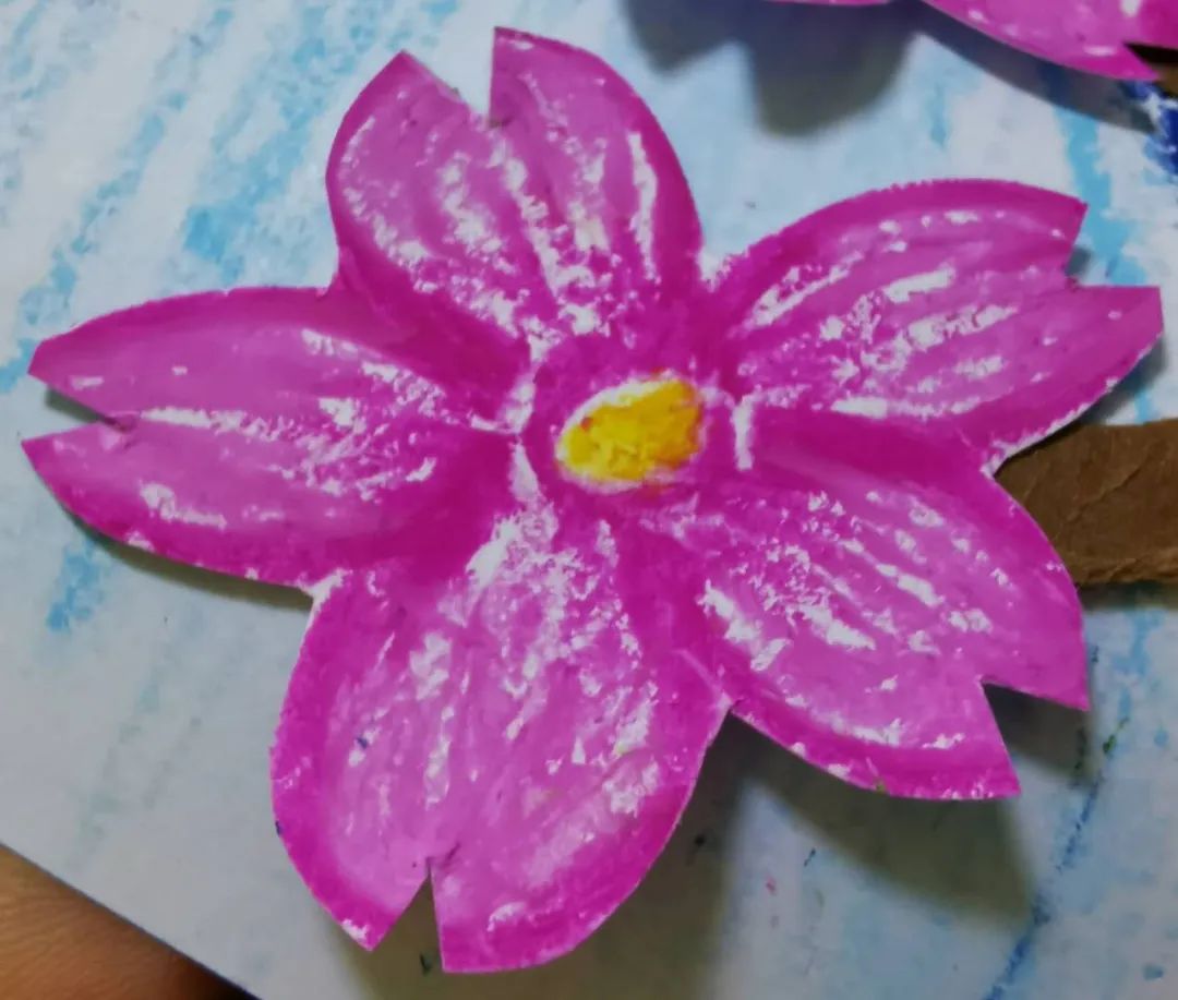 步骤5：取一张白纸，画出樱花，樱花有很多种品种，花瓣数量不一样，今天画的是五瓣的。有能力的同学可以在这个基础上将花瓣剪出小豁口。