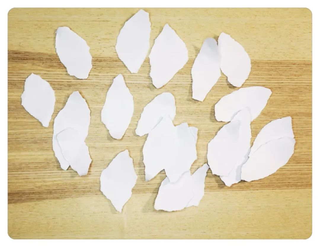 步骤3：准备一张白纸，用手撕的方法将白纸手撕成两头窄中间宽的花瓣状。
