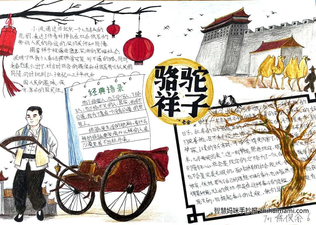 骆驼祥子手抄报简单好看（9张）-图4
