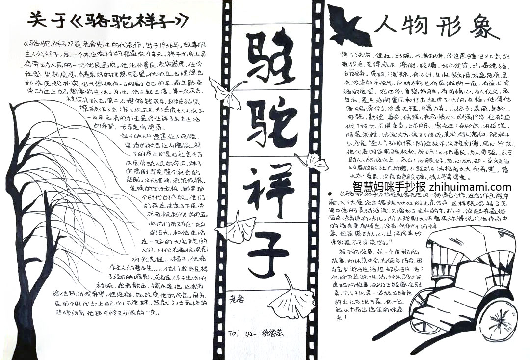 骆驼祥子手抄报简单好看（9张）-图6