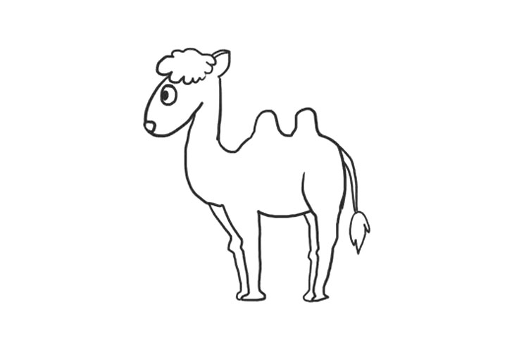 步骤7：画骆驼尾巴