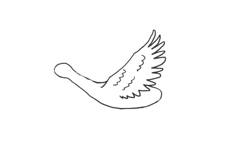 怎么画大雁？-图2