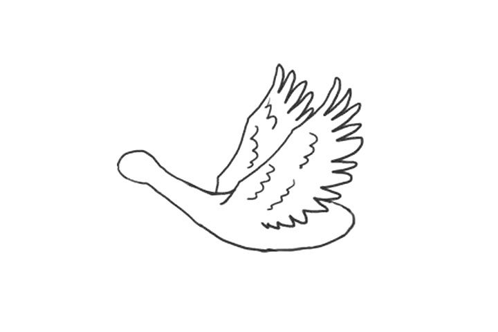 怎么画大雁？-图3