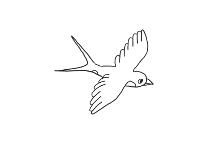 步骤4：画燕子眼睛、嘴、花纹