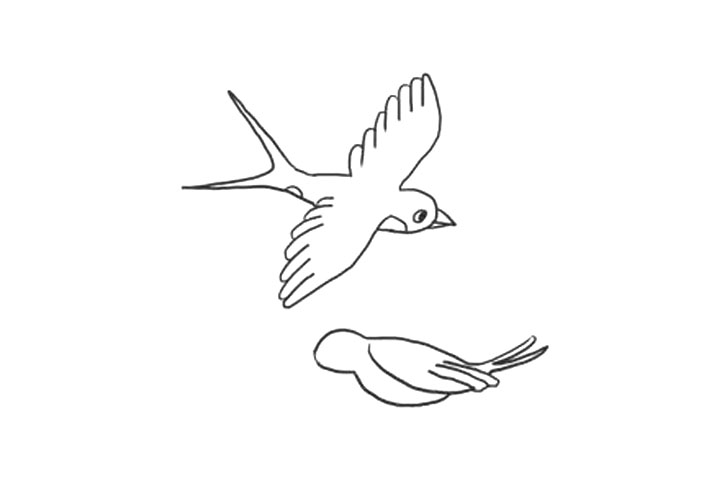 步骤6：画另一只燕子翅膀