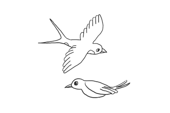 步骤7：画另一只燕子眼睛和嘴