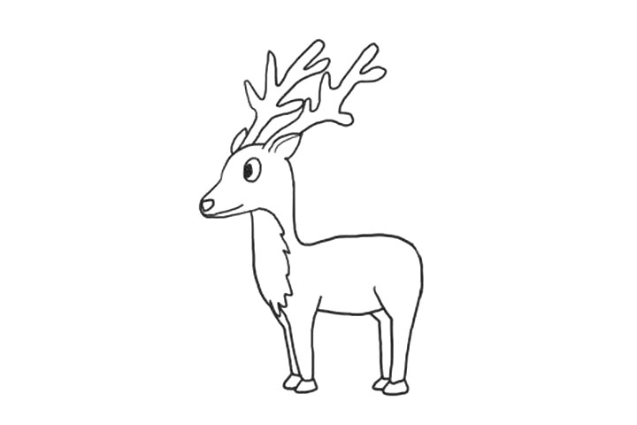 步骤6：画鹿腿二