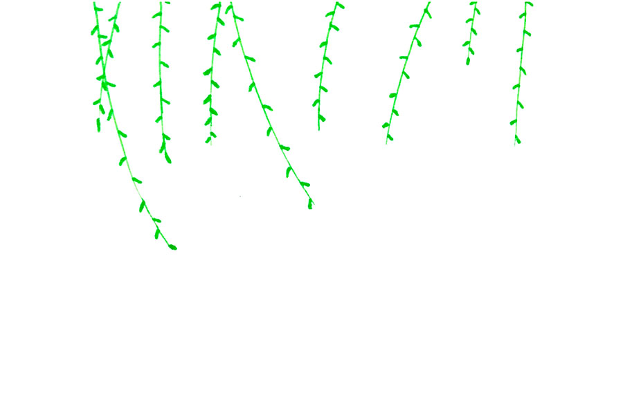 如何画春天的藤蔓植物-图2