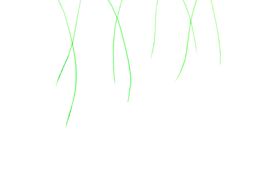 如何画春天的藤蔓植物-图5