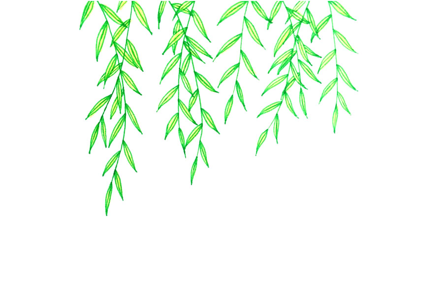 如何画春天的藤蔓植物-图7