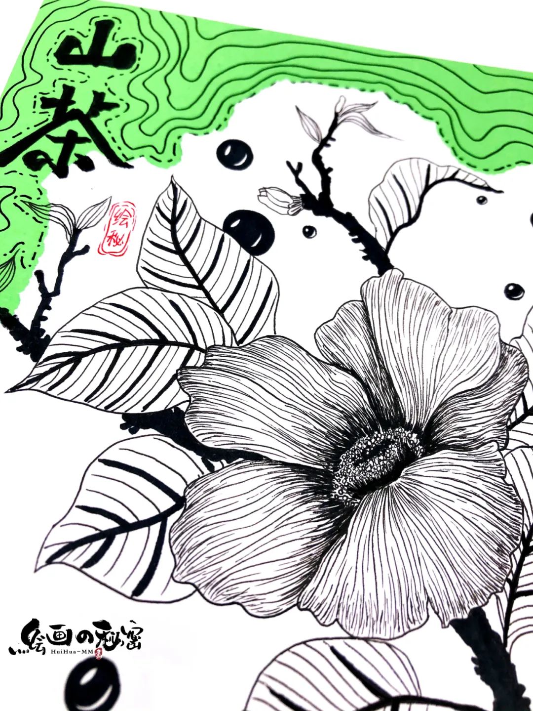 创意 | 美丽的山茶花儿童绘画教程