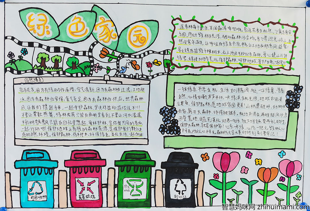 爱护绿色家园手抄报漂亮-图4