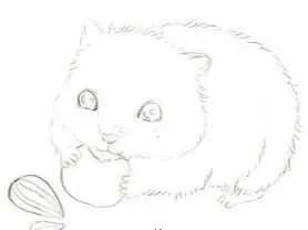 步骤2：细画线稿，用小短线排出仓鼠的毛发。