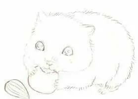 步骤3：用色铅笔勾勒线稿，然后用可塑橡皮轻轻擦去铅笔稿。