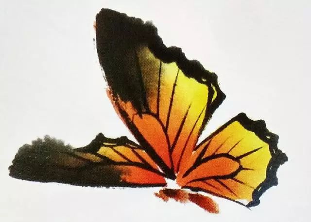 步骤4：蘸取赭石，点画出蝴蝶的身体。注意分为头、胸、腹三部分勾画，不要一笔粗略完成。