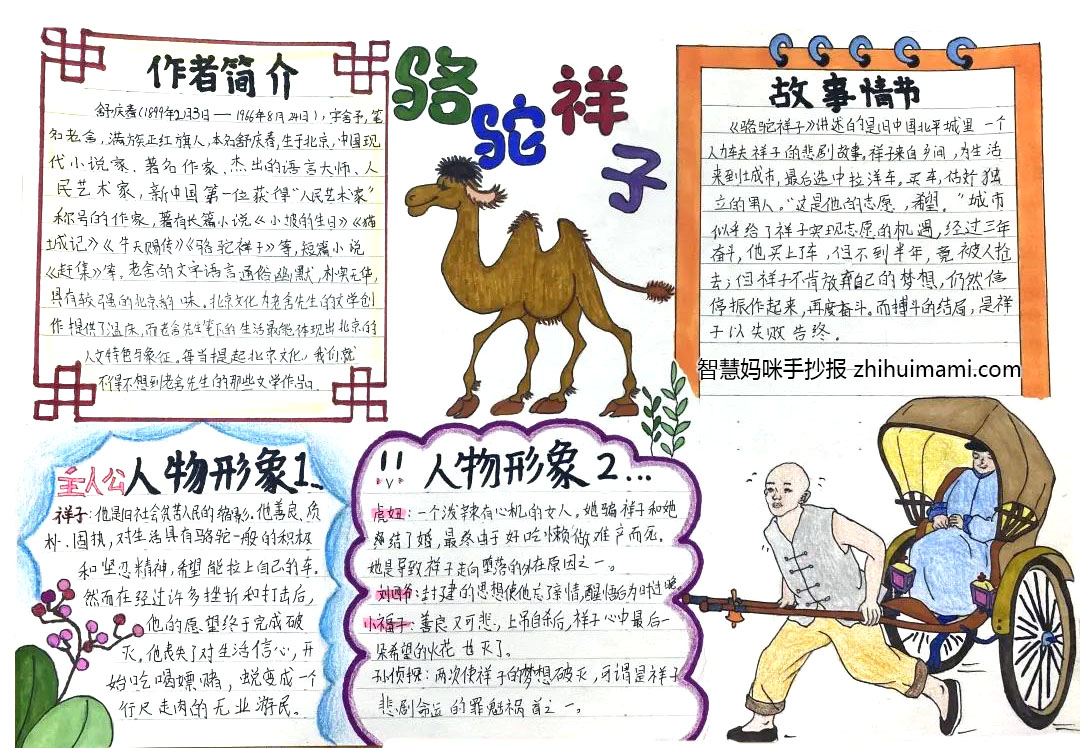 9张简单好看的骆驼祥子的手抄报-图8