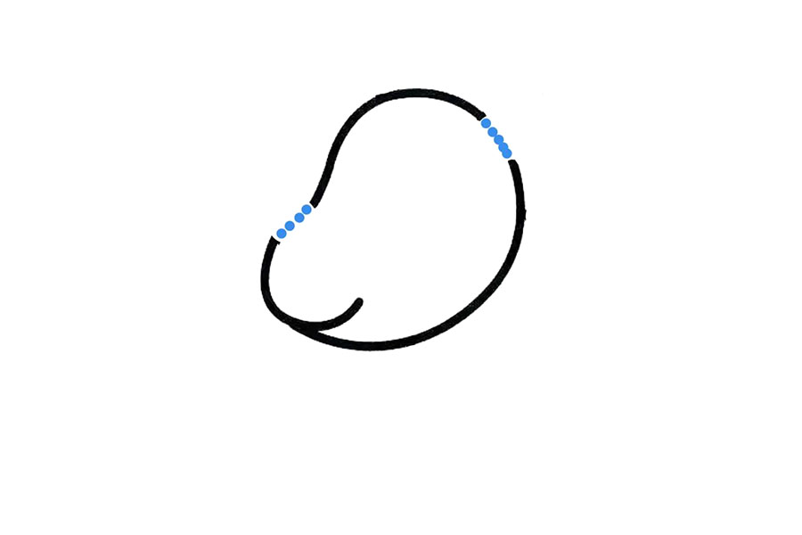 步骤1：先画出犀牛的头部，蓝色部分为缺口。