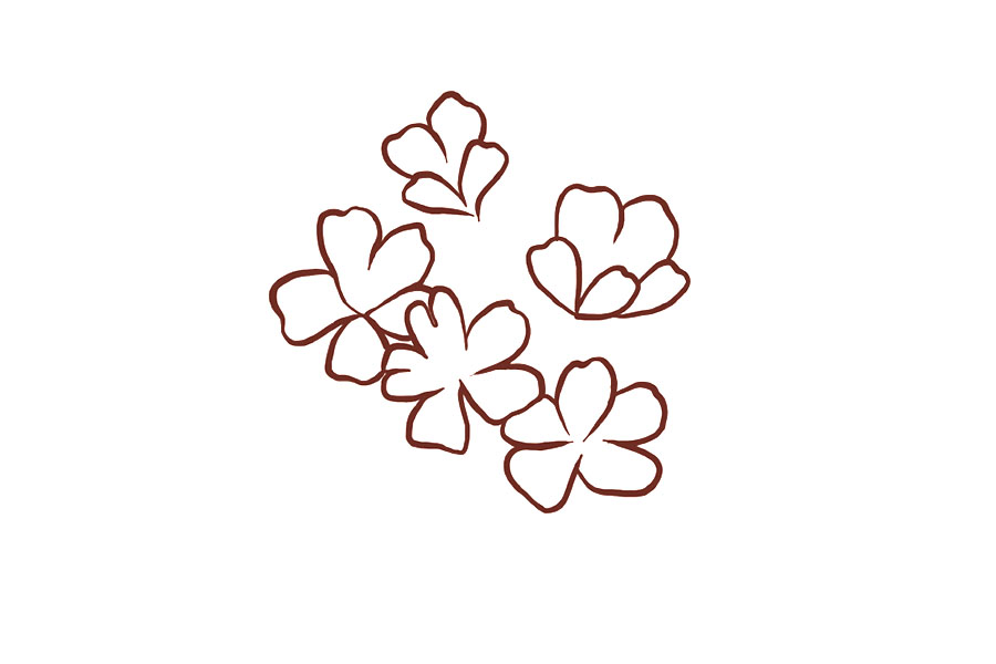 步骤2：接着再来一群。