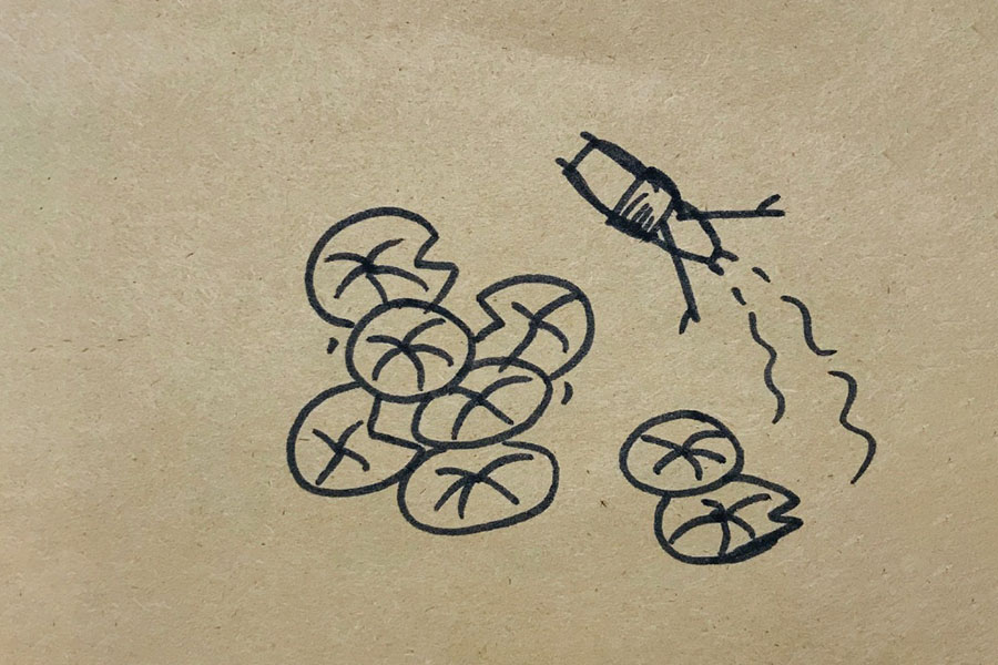 荷叶田田青照水 荷塘风景简笔画图片-图2