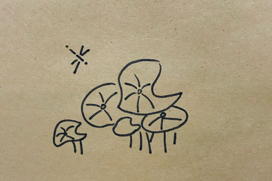 荷叶田田青照水 荷塘风景简笔画图片-图4