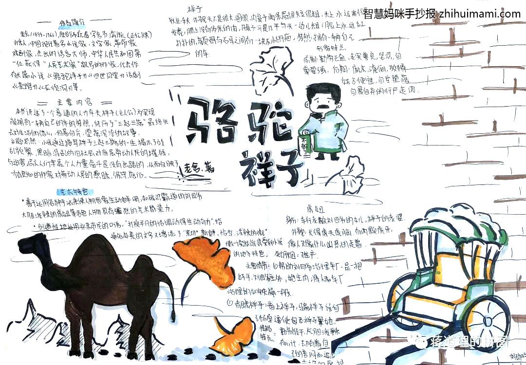 怎么画骆驼祥子思维导图手抄报-图3