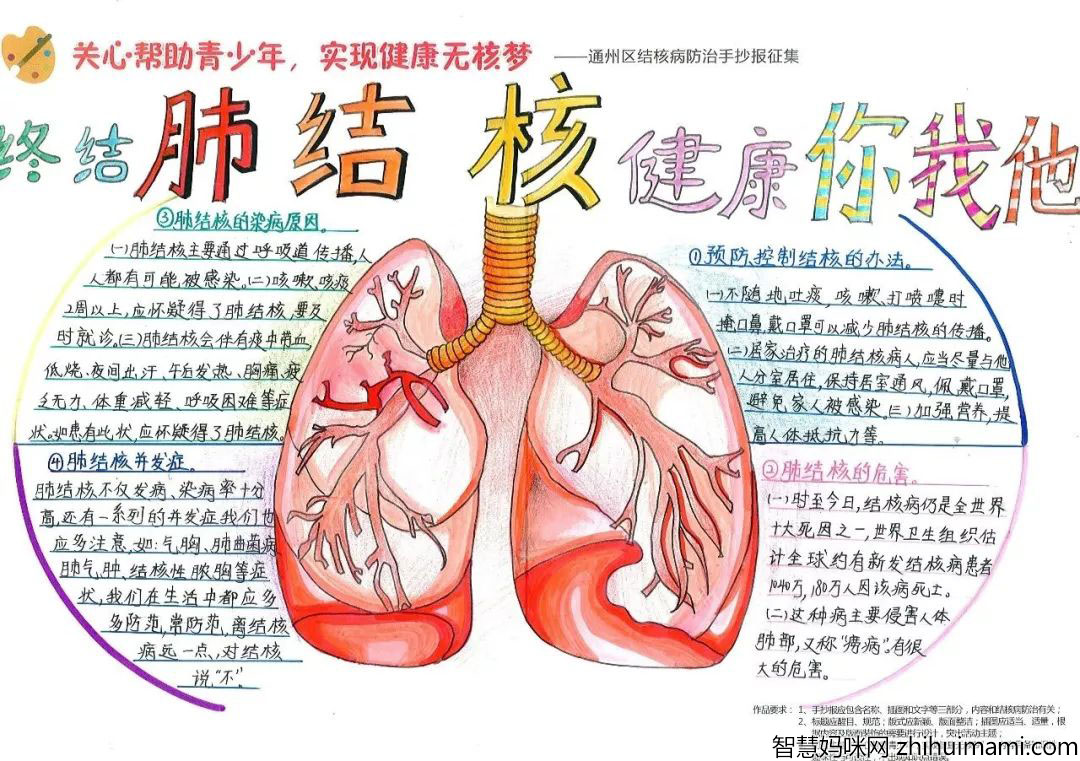 预防肺结核手抄报优秀作品