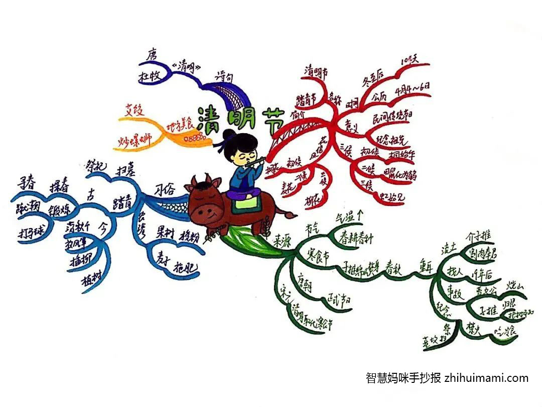 7张清明节思维导图简单又漂亮-图7
