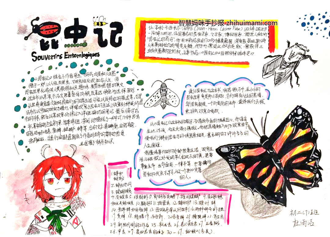 初二昆虫记手抄报绘画图片（8张）-图1