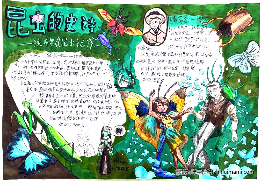 初二昆虫记手抄报绘画图片（8张）-图3