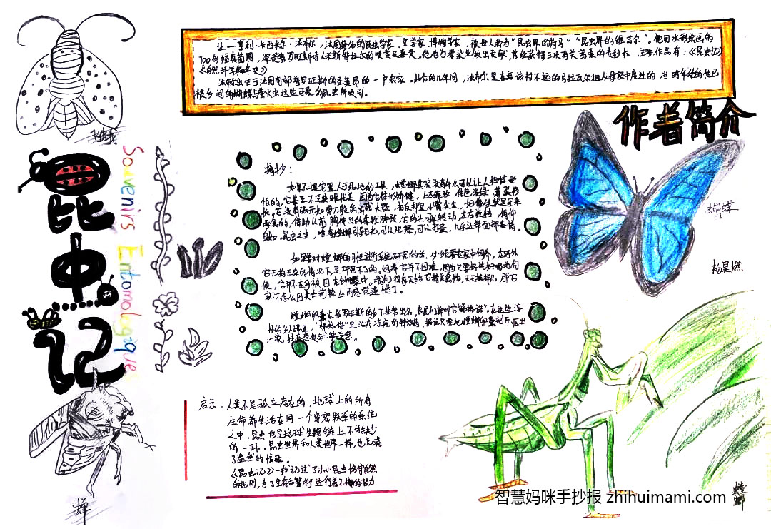初二昆虫记手抄报绘画图片（8张）-图5